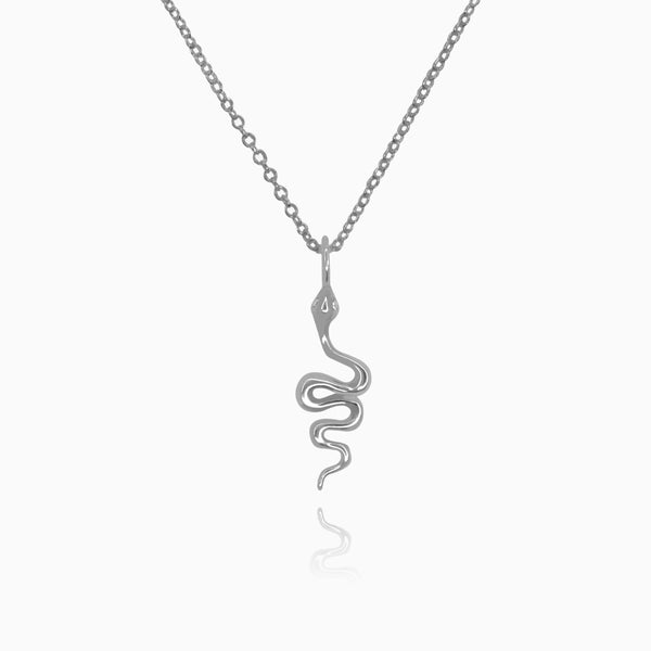 Collar Vibora Plata - DiversoWomen